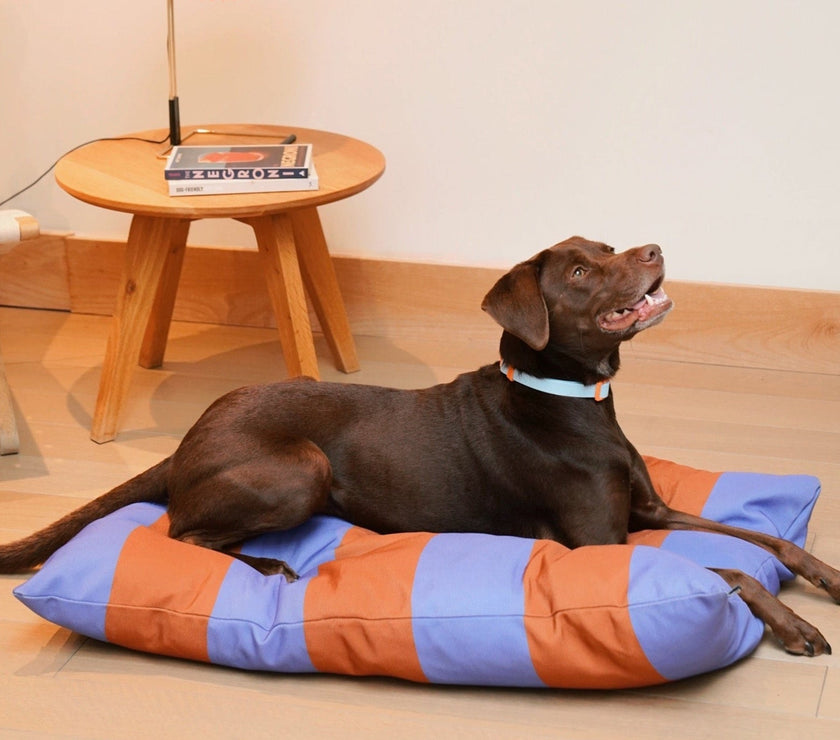 The Fritz Bed - Laeta Kids