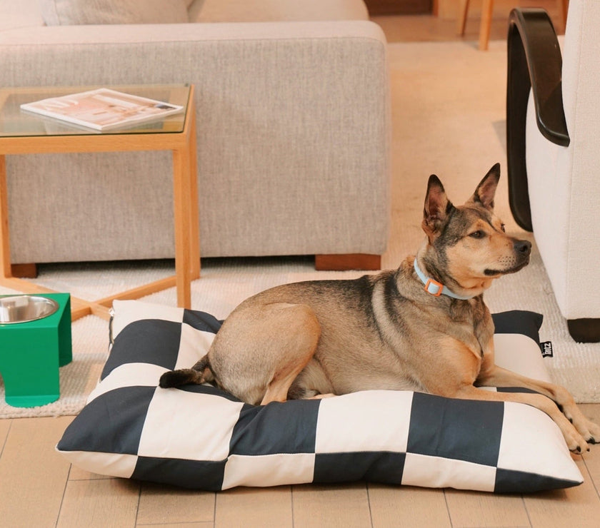 The Fritz Bed - Laeta Kids