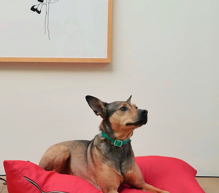 The Fritz Bed - Laeta Kids