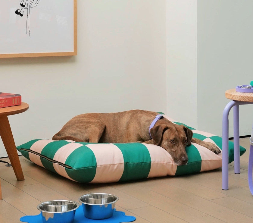 The Fritz Bed - Laeta Kids