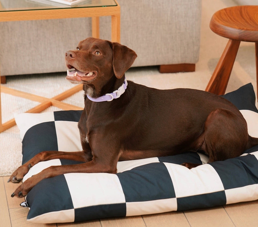 The Fritz Bed - Laeta Kids