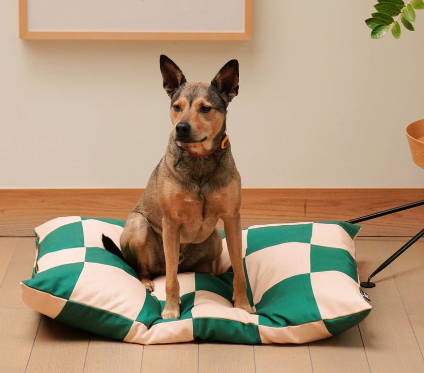 The Fritz Bed - Laeta Kids