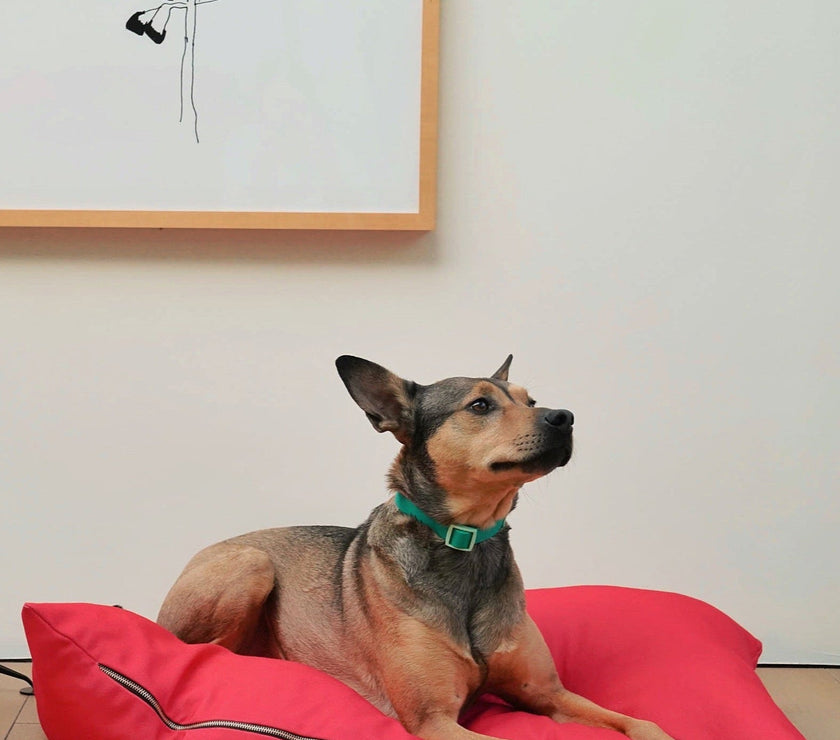 The Fritz Bed Cover - Laeta Kids