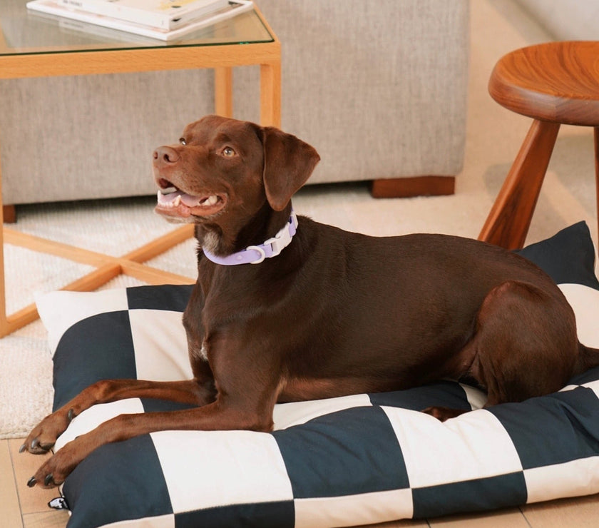 The Fritz Bed Cover - Laeta Kids