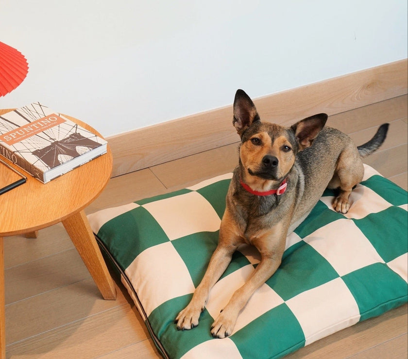 The Fritz Bed Cover - Laeta Kids