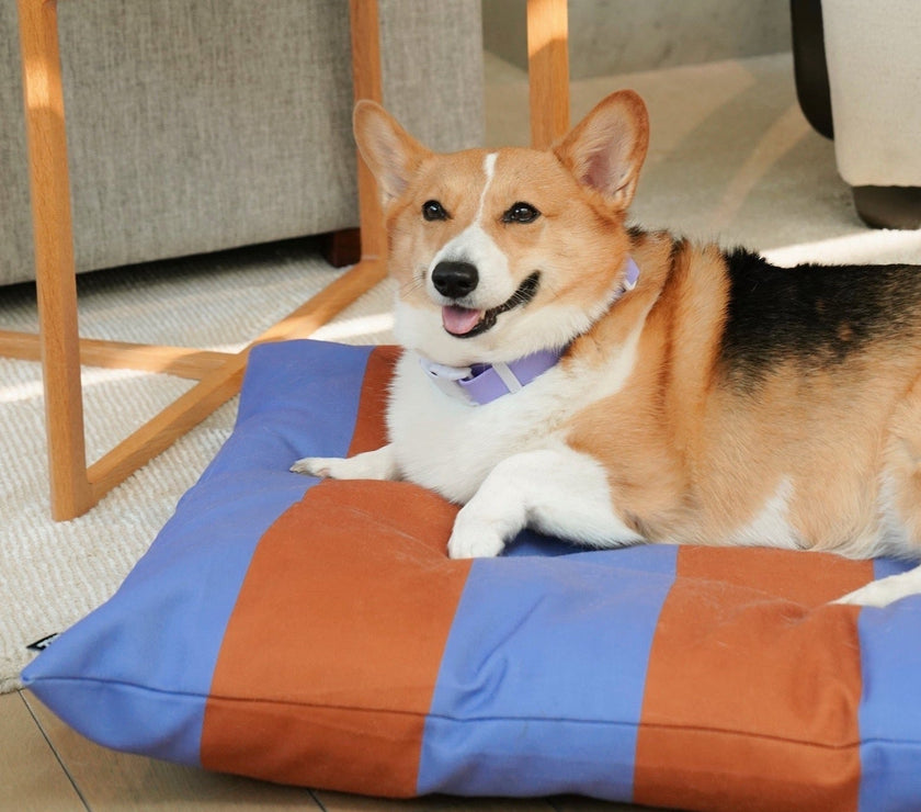 The Fritz Bed Cover - Laeta Kids