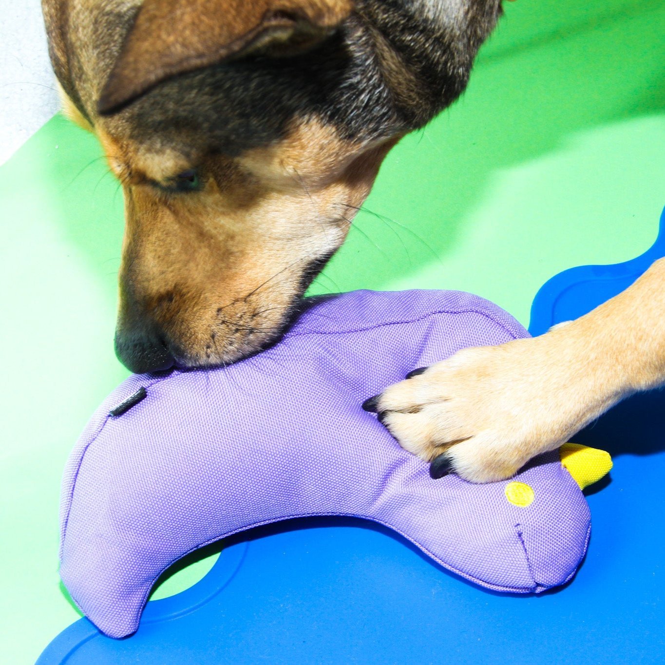 The Fritz Bird Dog Toy - Laeta Kids