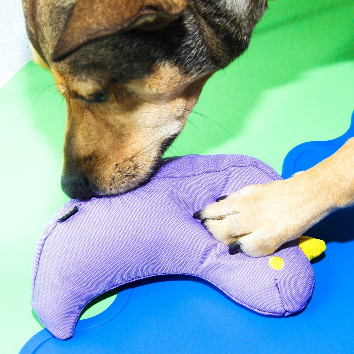 The Fritz Bird Dog Toy - Laeta Kids