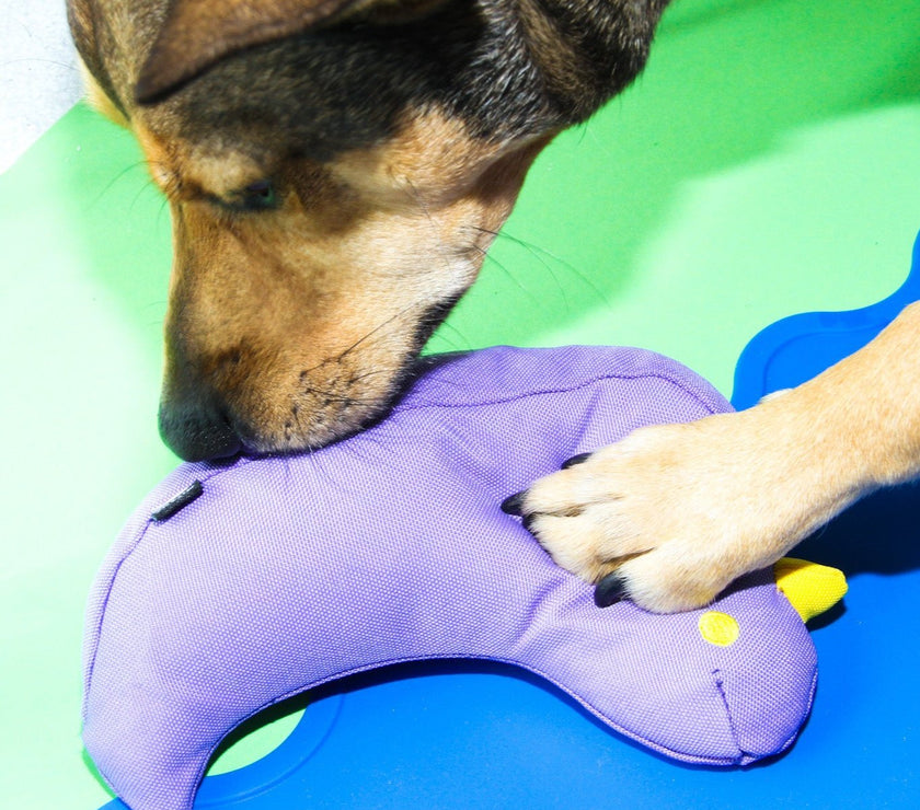 The Fritz Bird Dog Toy - Laeta Kids