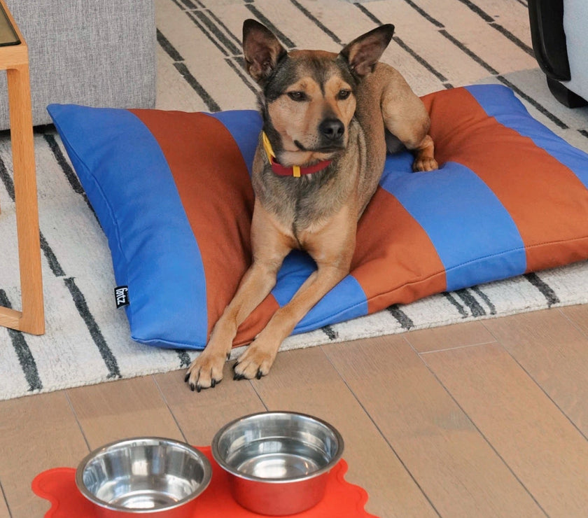 The Fritz Bowl Mat - Laeta Kids