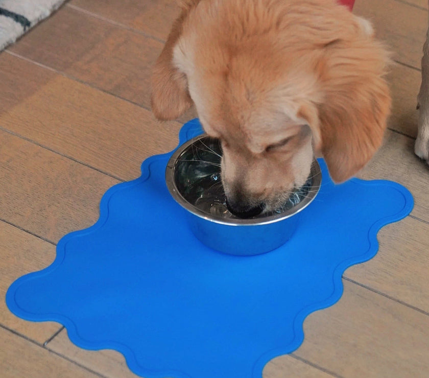 The Fritz Bowl Mat - Laeta Kids