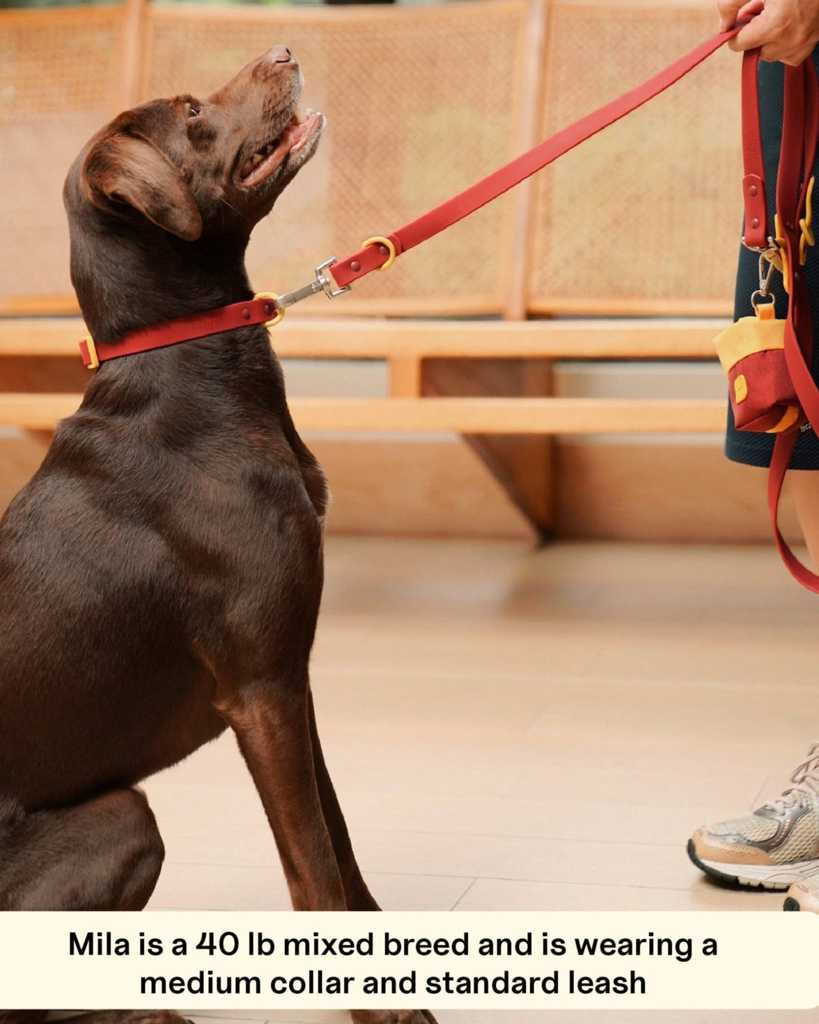 The Fritz Collar - Laeta Kids