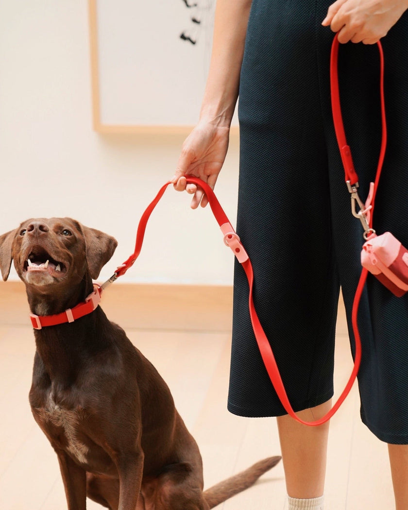 The Fritz Collar - Laeta Kids