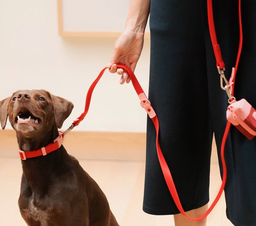 The Fritz Collar - Laeta Kids