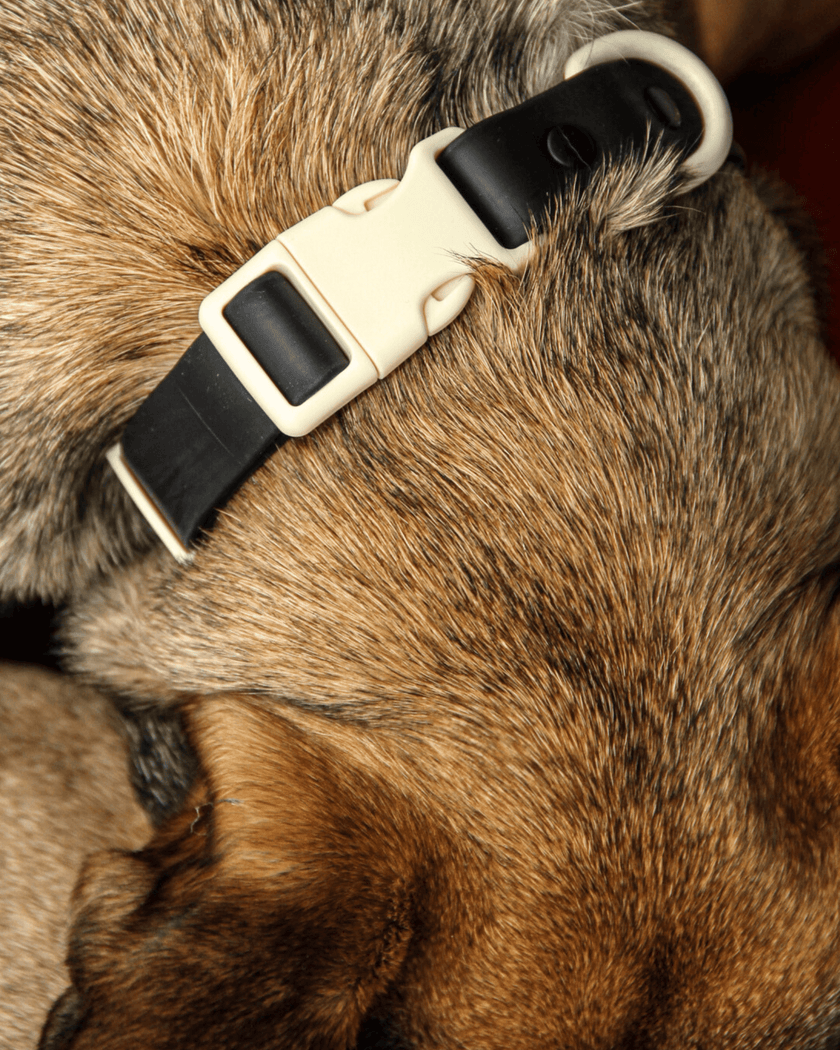 The Fritz Collar - Laeta Kids