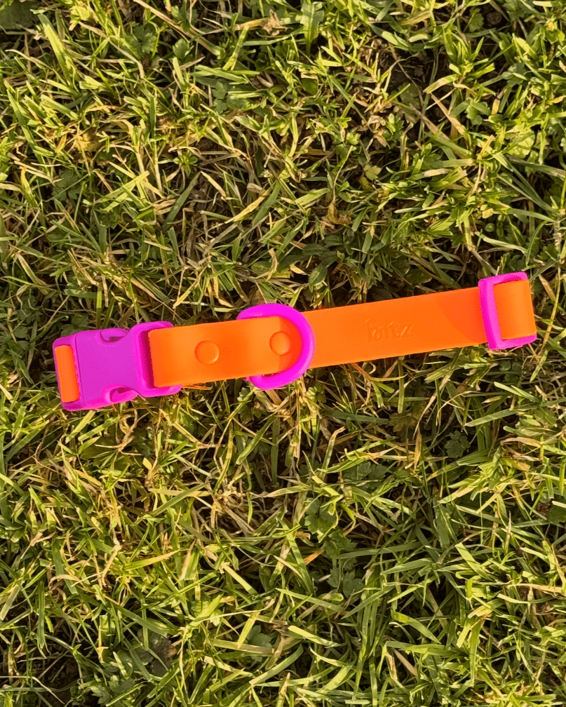 The Fritz Collar - Laeta Kids