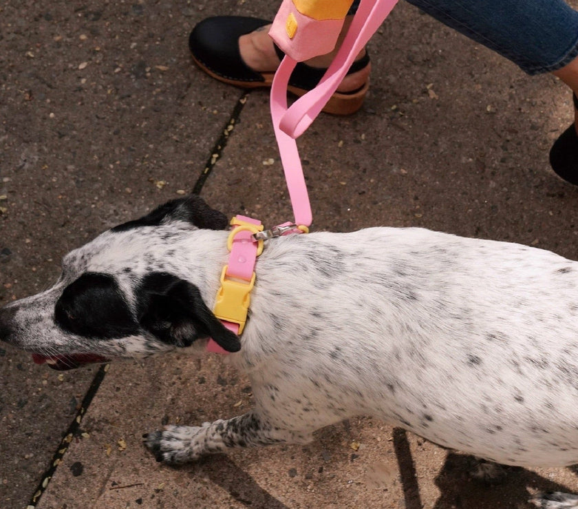 The Fritz Collar - Laeta Kids