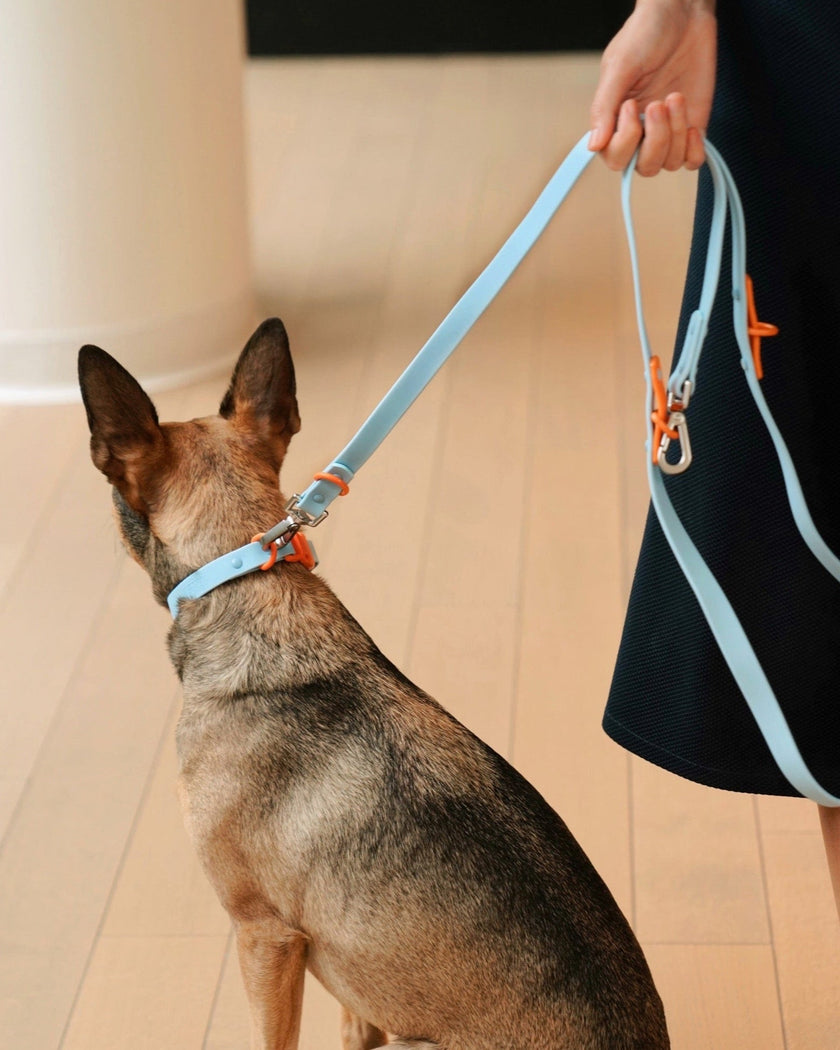 The Fritz Collar - Laeta Kids