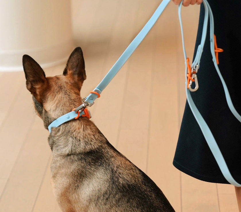 The Fritz Collar - Laeta Kids