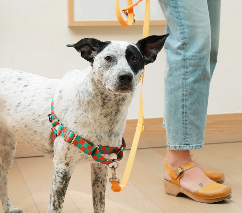 The Fritz Harness - Laeta Kids