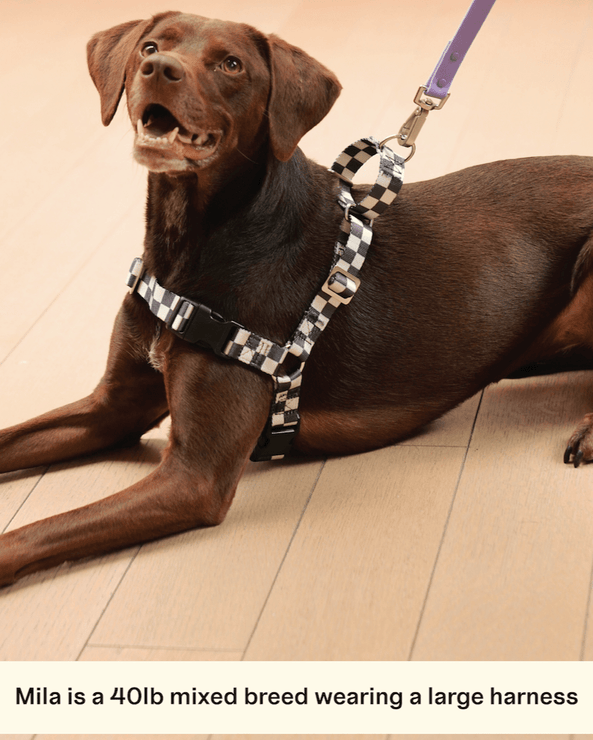 The Fritz Harness - Laeta Kids