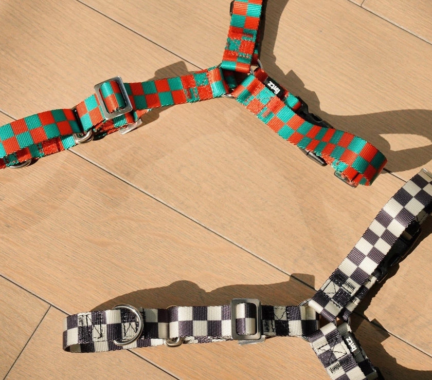 The Fritz Harness - Laeta Kids