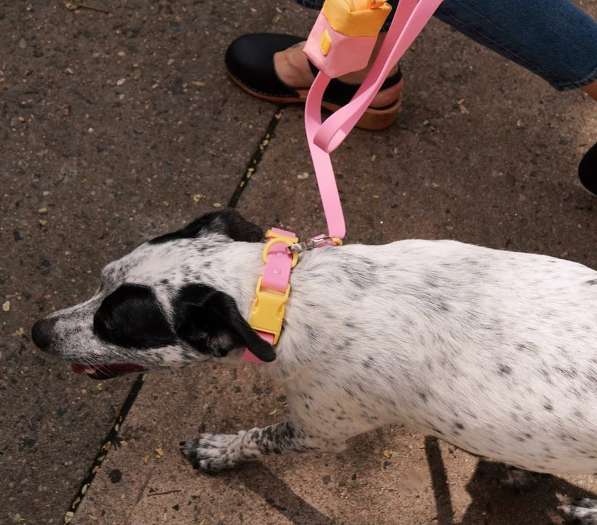 The Fritz Leash - Laeta Kids