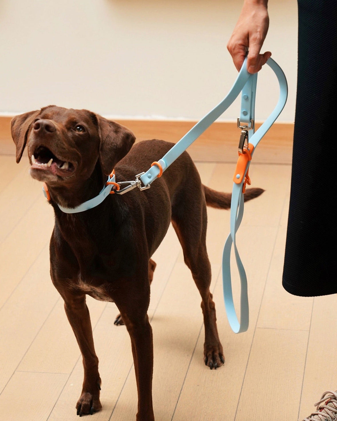 The Fritz Leash - Laeta Kids