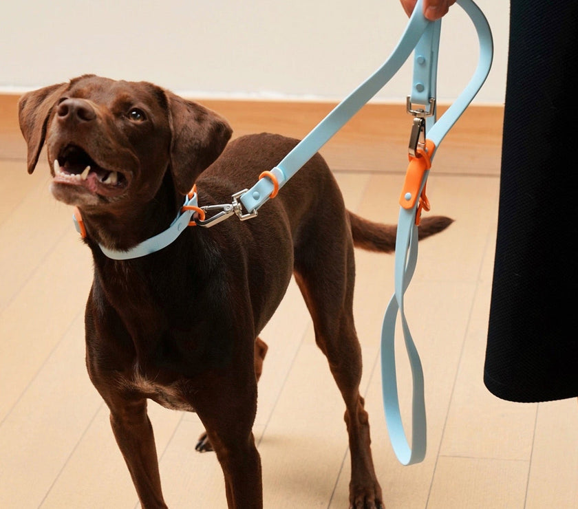 The Fritz Leash - Laeta Kids