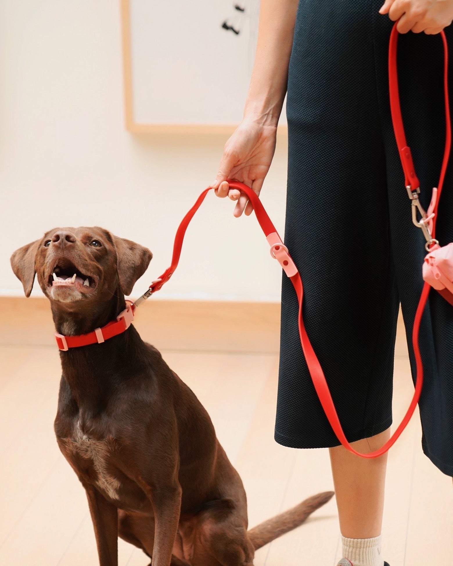 The Fritz Leash - Laeta Kids