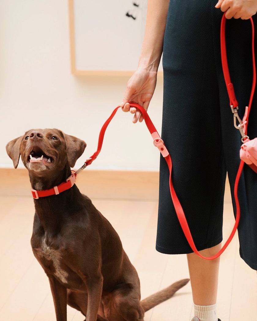 The Fritz Leash - Laeta Kids