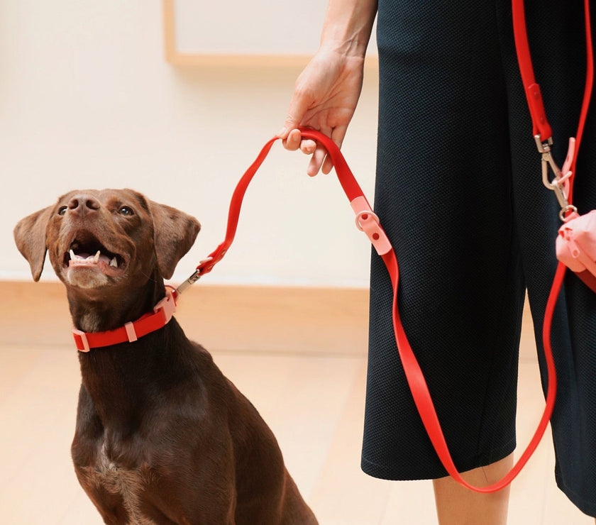 The Fritz Leash - Laeta Kids