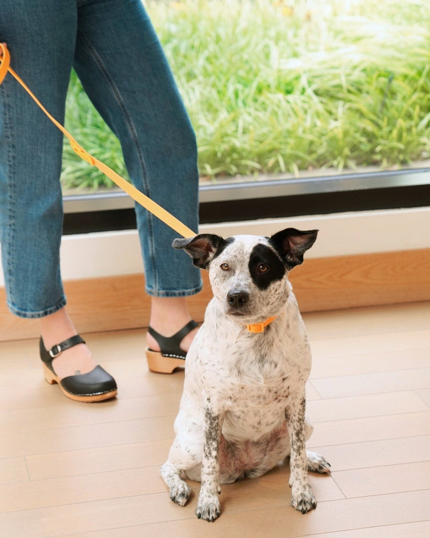 The Fritz Leash - Laeta Kids