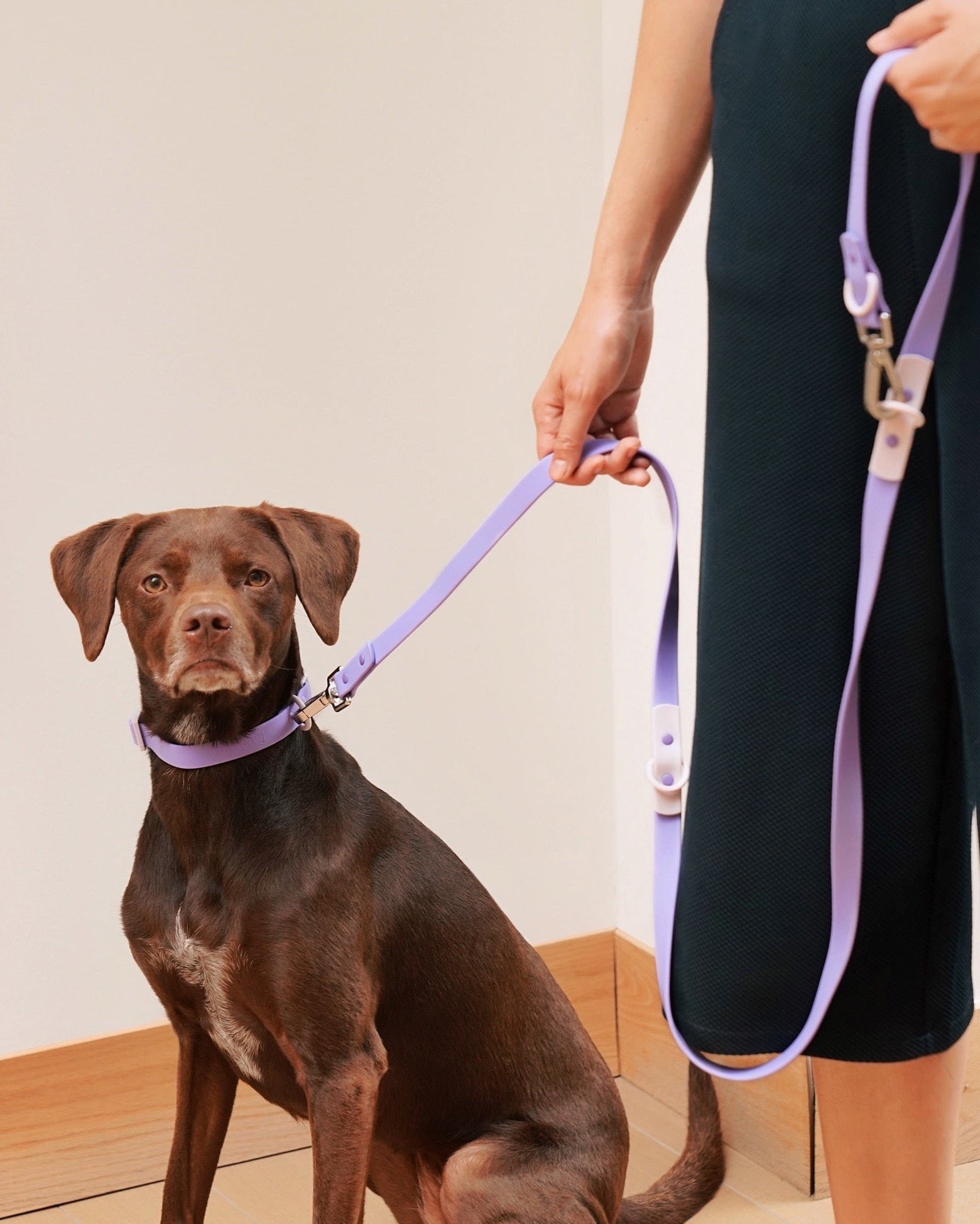 The Fritz Leash - Laeta Kids