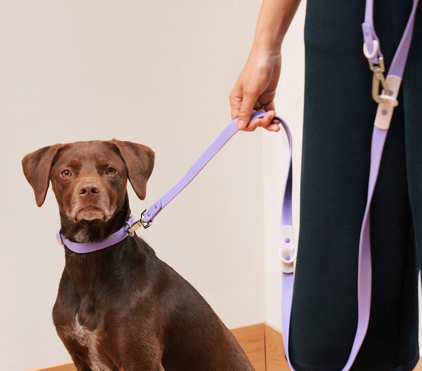 The Fritz Leash - Laeta Kids