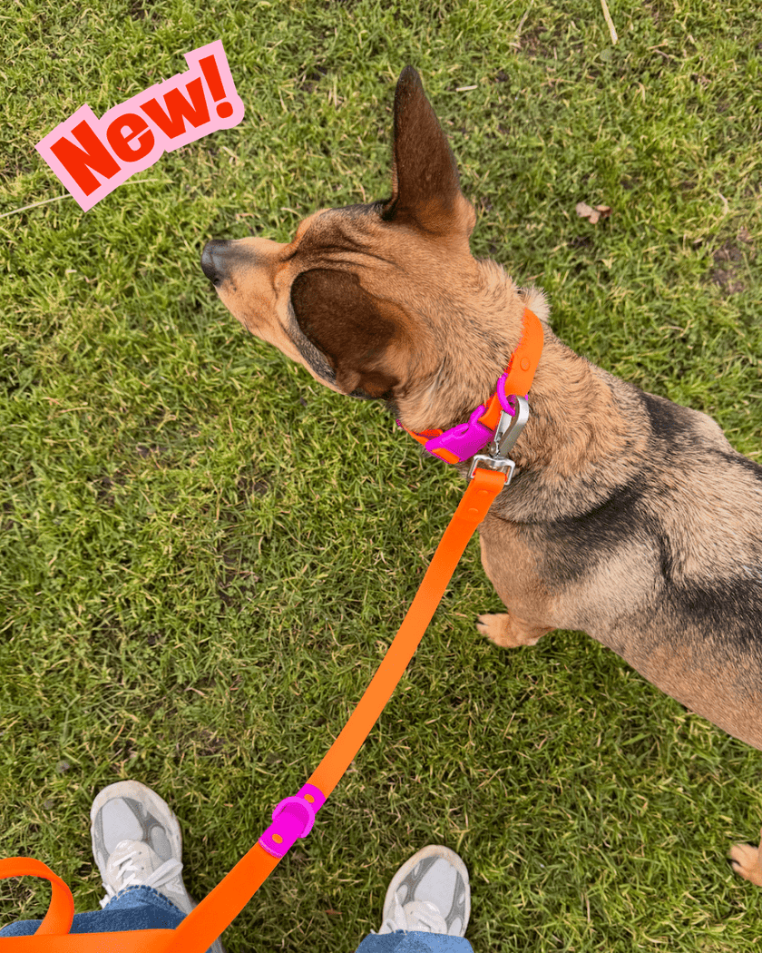 The Fritz Leash - Laeta Kids