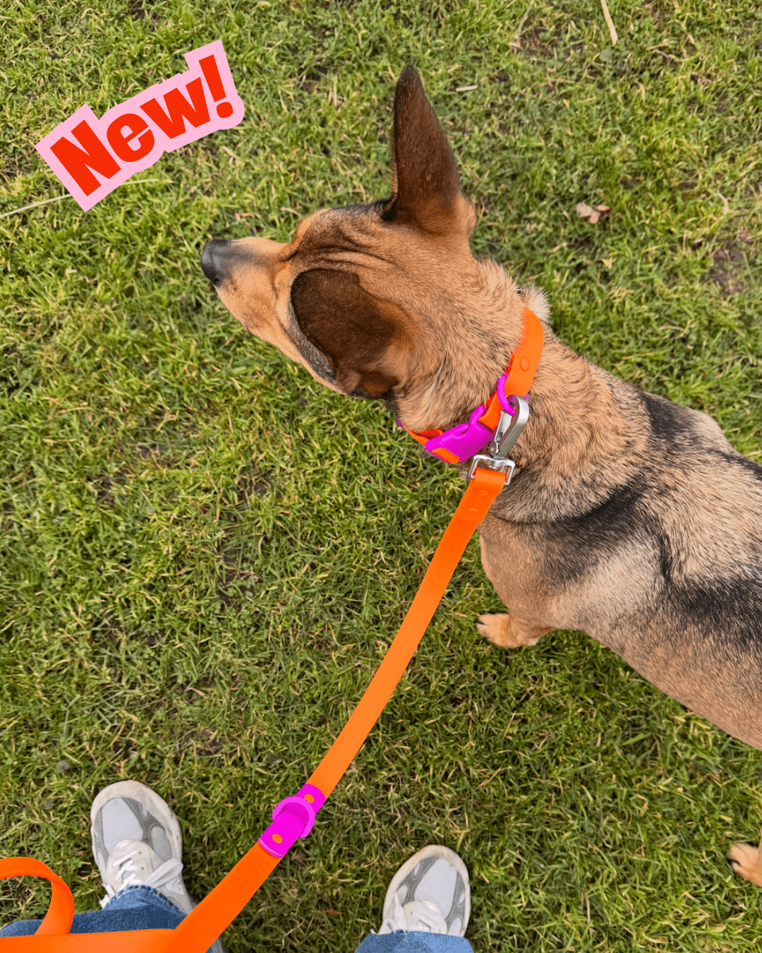 The Fritz Leash - Laeta Kids