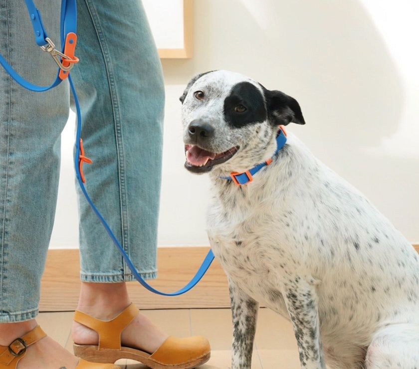 Walk Set - Laeta Kids