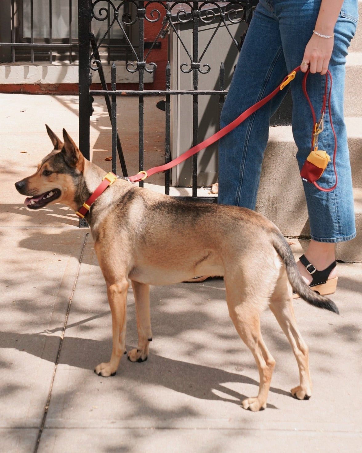 Walk Set - Laeta Kids