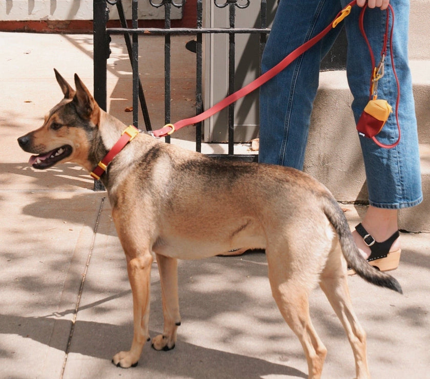 Walk Set - Laeta Kids