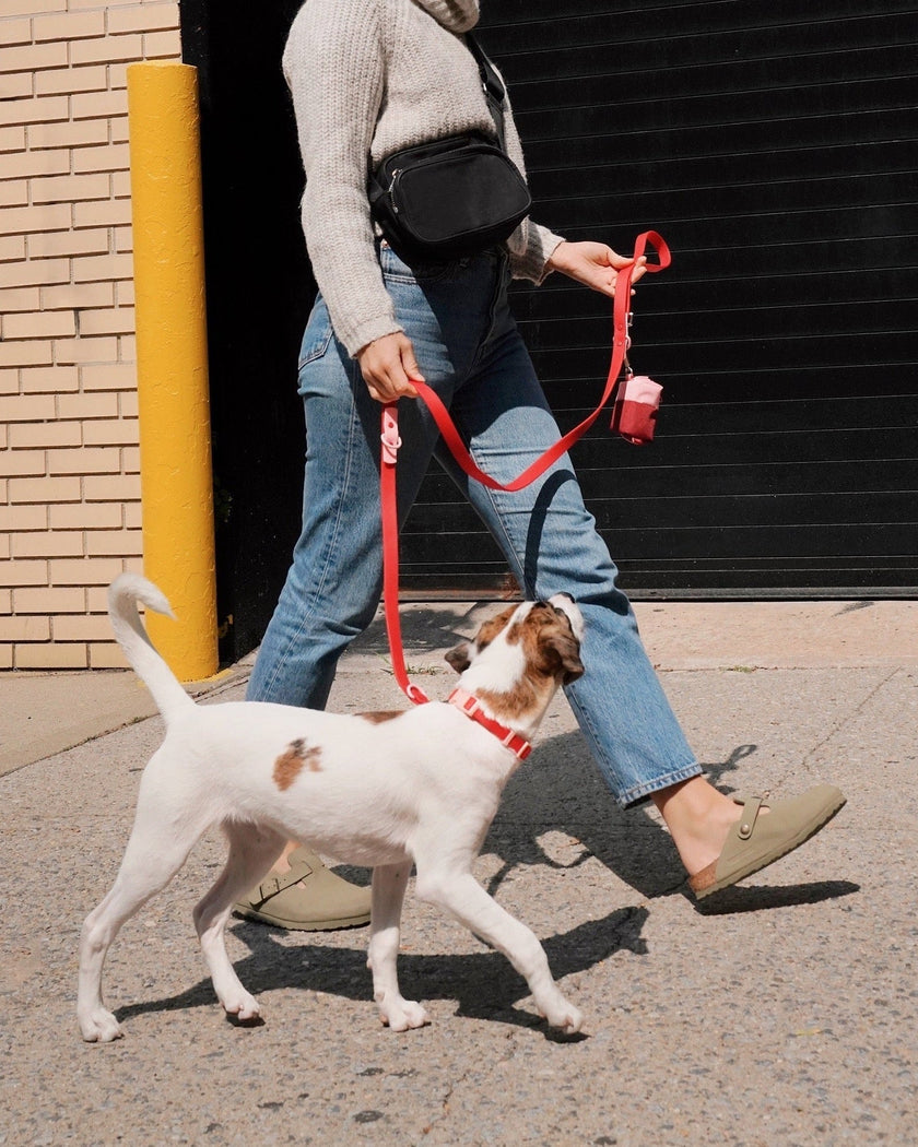 Walk Set - Laeta Kids