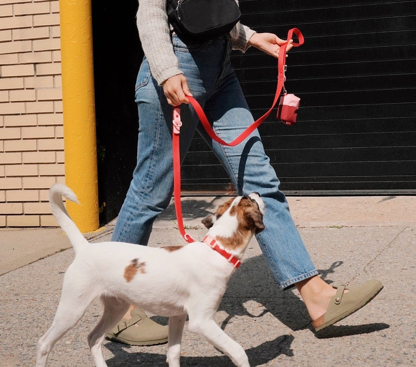 Walk Set - Laeta Kids