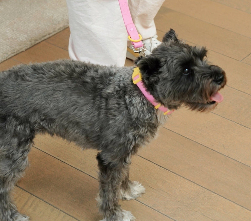 Walk Set - Laeta Kids