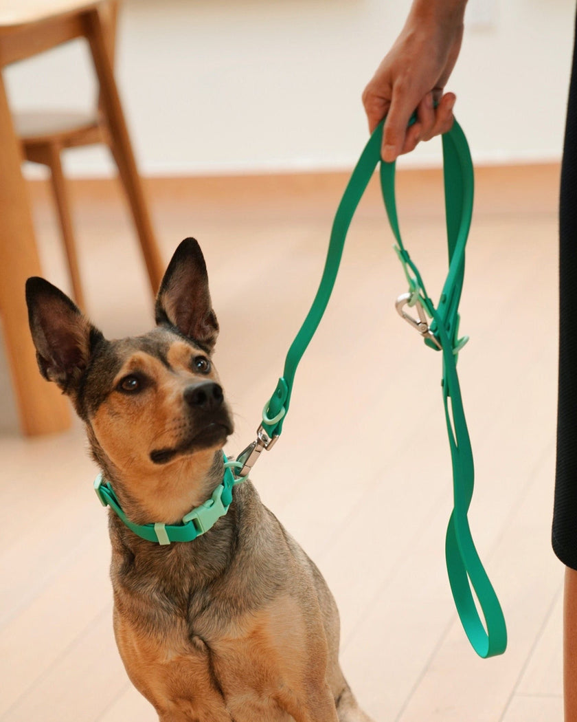 Walk Set - Laeta Kids