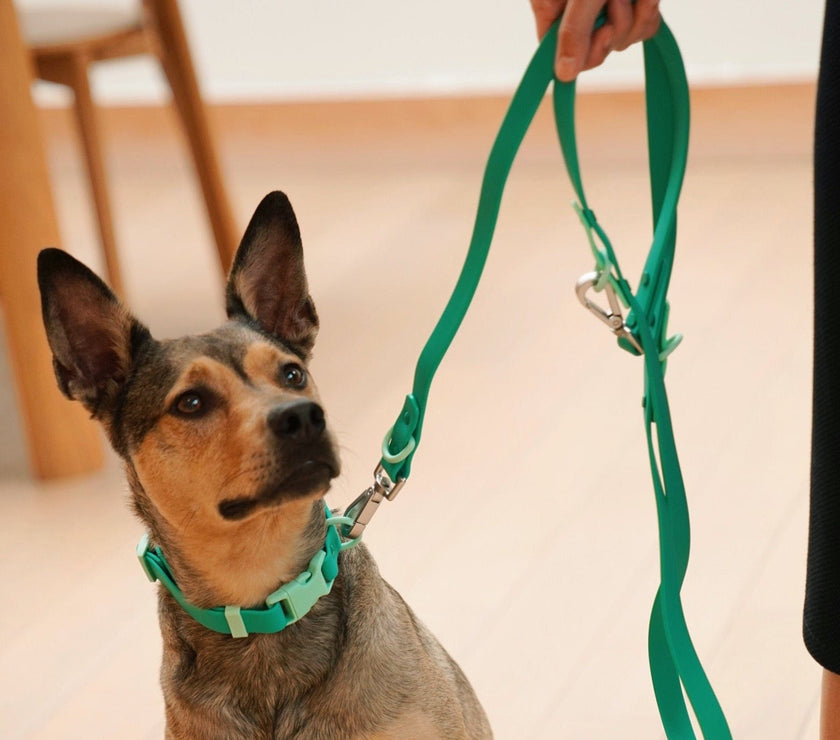 Walk Set - Laeta Kids