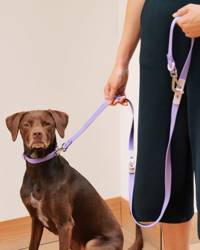 Walk Set - Laeta Kids