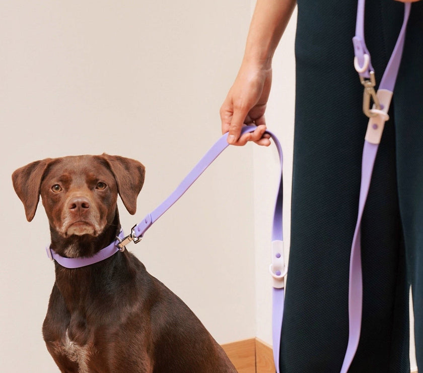 Walk Set - Laeta Kids