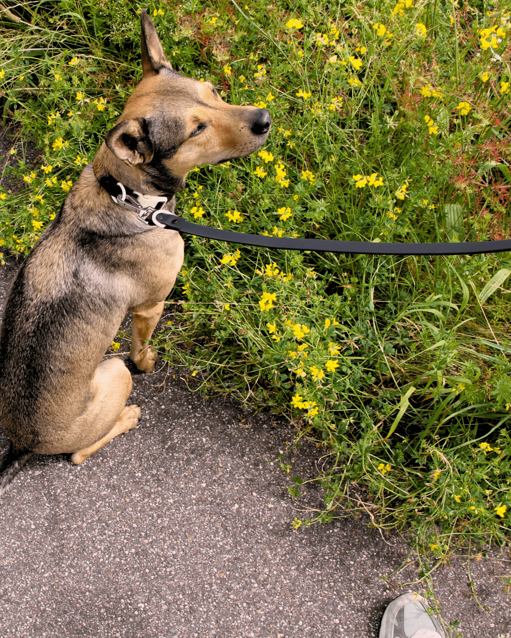 Walk Set - Laeta Kids