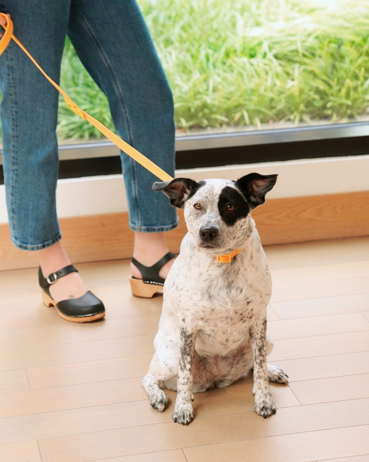 Walk Set - Laeta Kids