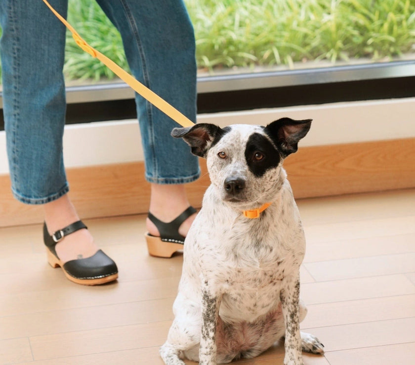 Walk Set - Laeta Kids